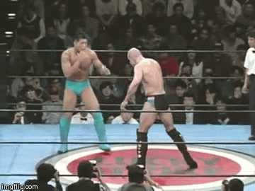 bas-rutten-knockout-kick.gif
