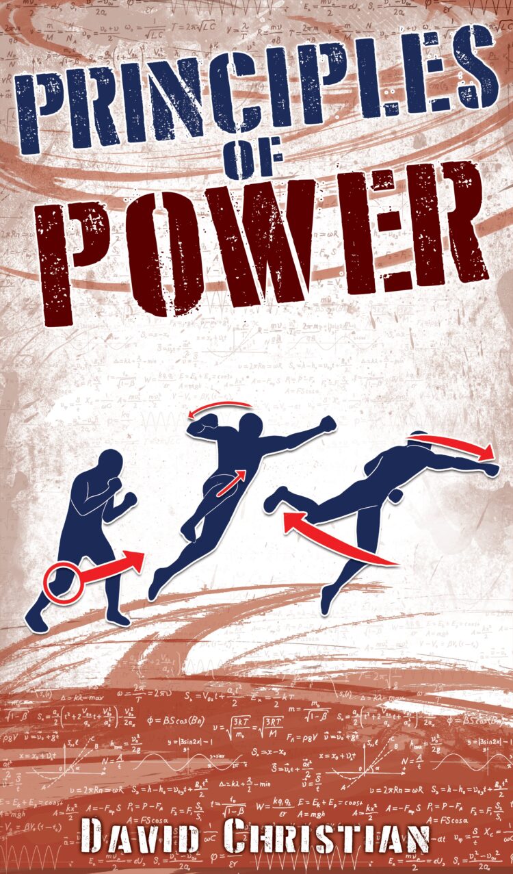 Principles of Power Book